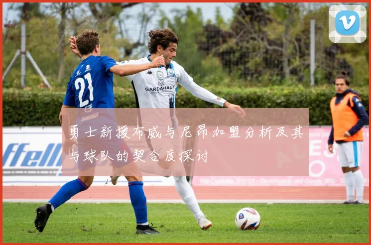 勇士新援布威与尼昂加盟分析及其与球队的契合度探讨